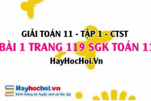 Giải bài 1 trang 119 Toán 11 tập 1 SGK Chân trời sáng tạo
